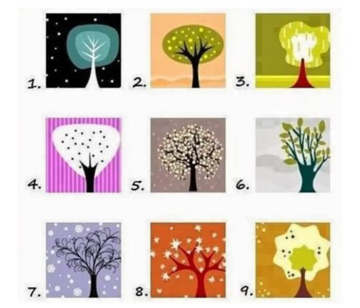 Melyik fa a kedvenced? Megmutatja milyen ember vagy igazából