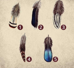 Válassz egy madártollat - Ez különleges dolgot árul el az igazi személyiségedről