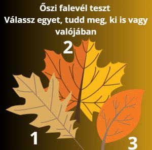 Válassz egy őszi falevelet – Ez elárulja, milyen a személyiséged!