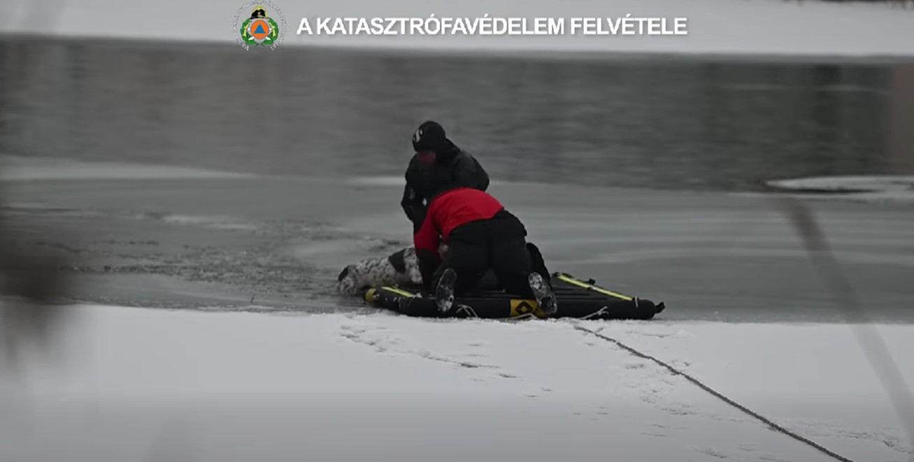 Drámai mentés a jeges Dunán: beszakadt a jég egy kutya alatt
